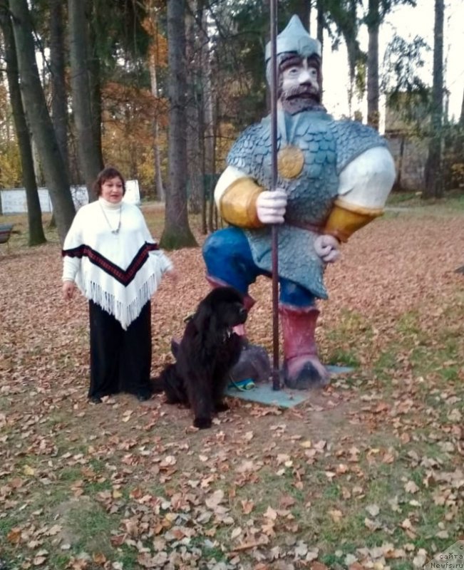 Фотография № 239670