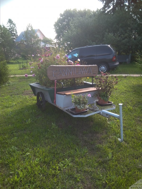 Фотография № 239671