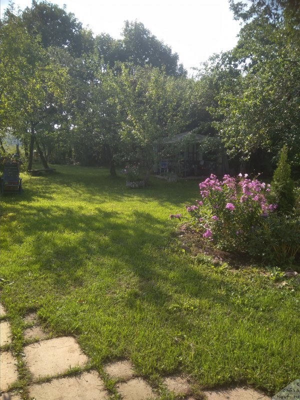 Фотография № 239672