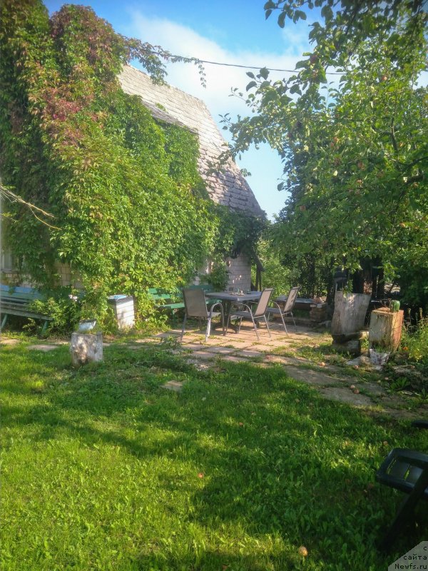 Фотография № 239673