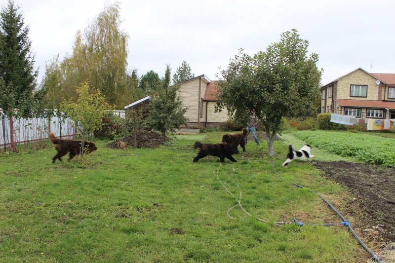 Фотография № 239683