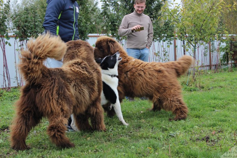 Фотография № 239685