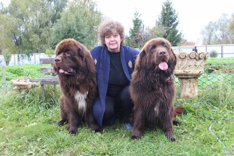 Фотография № 239687