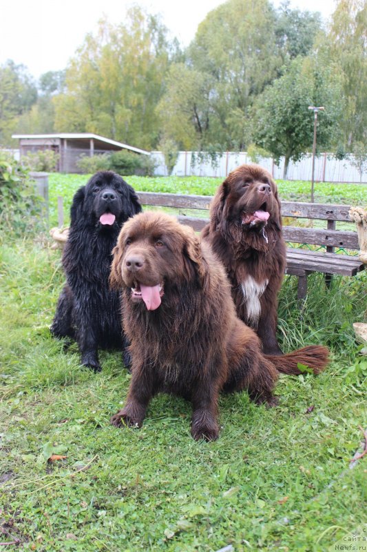 Фотография № 239689