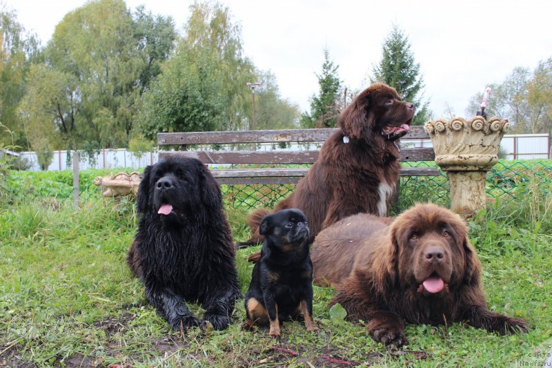 Фотография № 239690