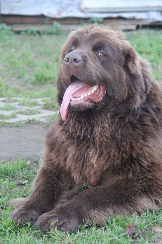 Фотография № 239701