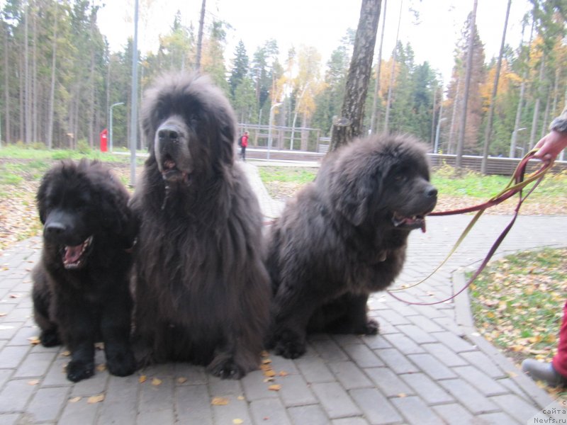 Фотография № 239728