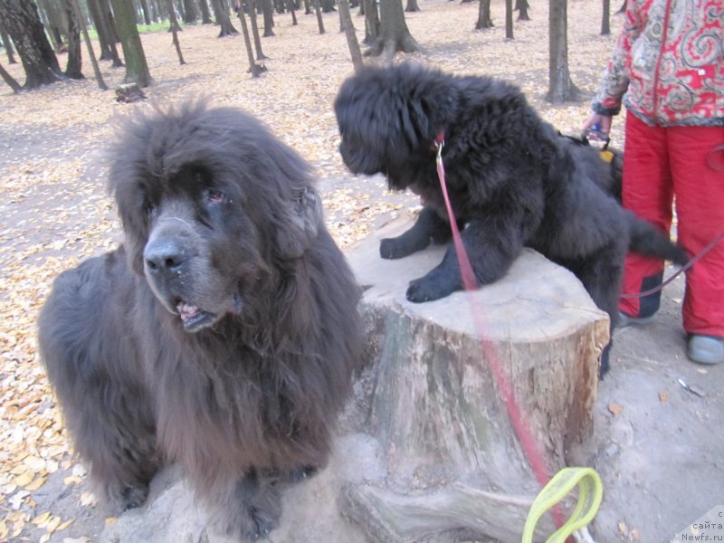 Фотография № 239730