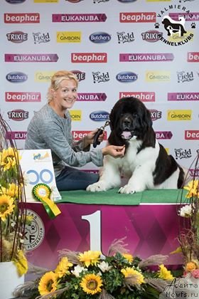 Фотография № 239768