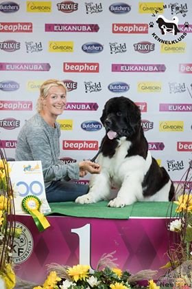 Фотография № 239769