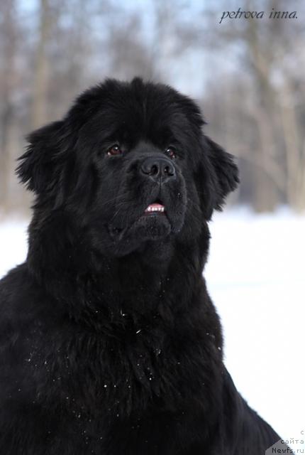 Фотография № 23983