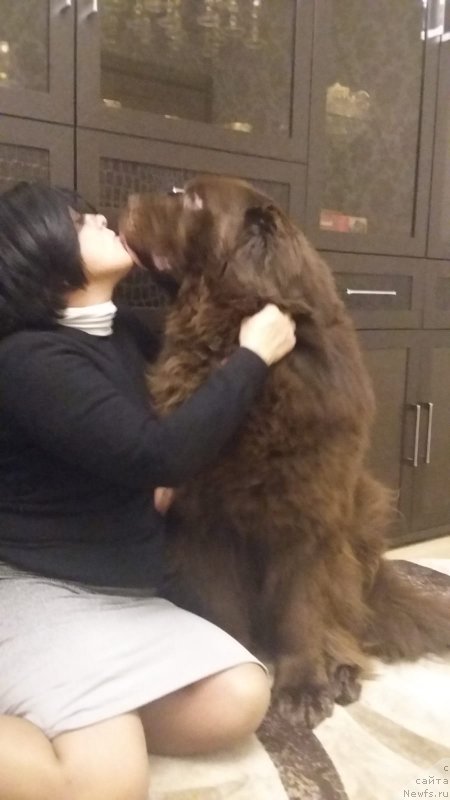 Фотография № 239855