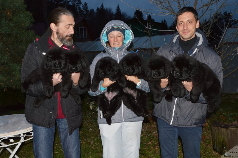 Фотография № 239912