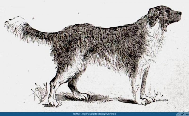 Фотография № 239928