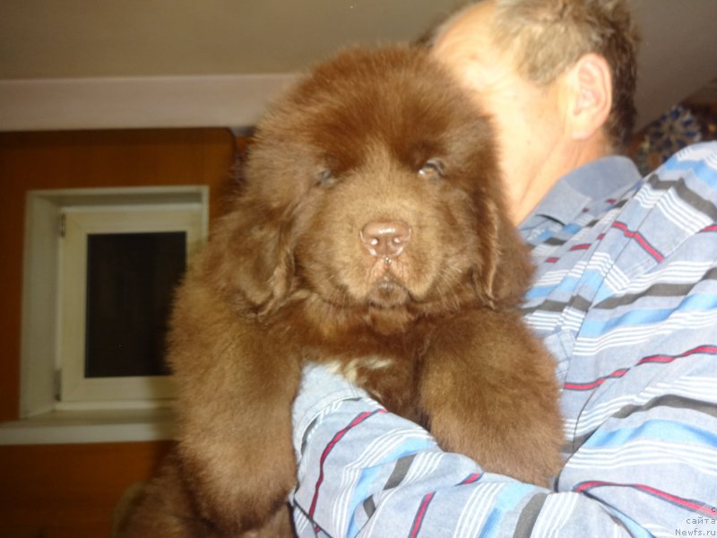 Фото: Ирина Панюшкина