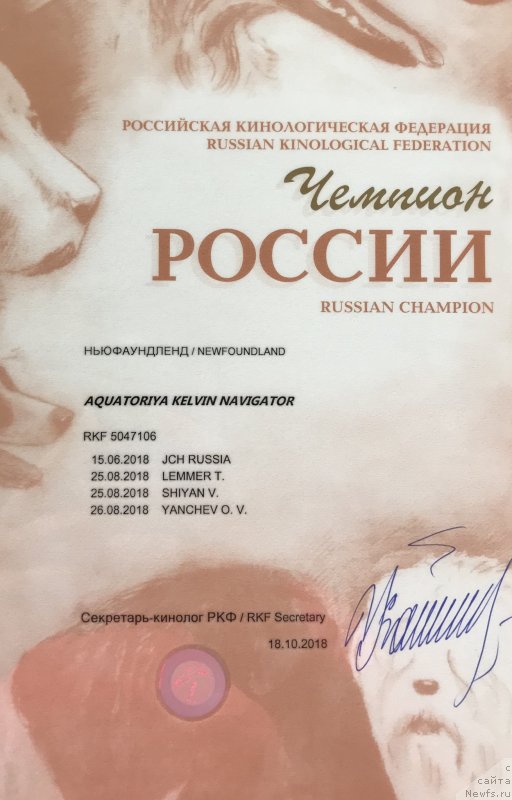 Фото: ньюфаундленд Акватория Келвин Навигатор (Aquatoriya Kelvin Navigator)