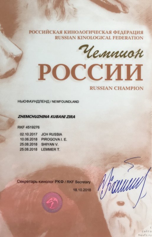 Фото: ньюфаундленд Жемчужина Кубани Зира (Zhemchuzhina Kubani Zira)