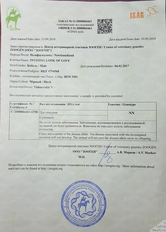 Фото: ньюфаундленд Инвайтинг Лук оф Лав (Inviting Look of Love)