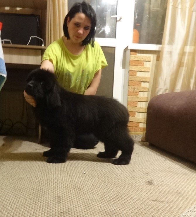 Фотография № 239995