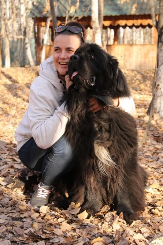 Фотография № 240023