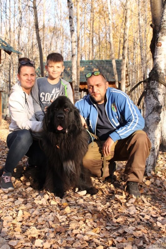 Фотография № 240024