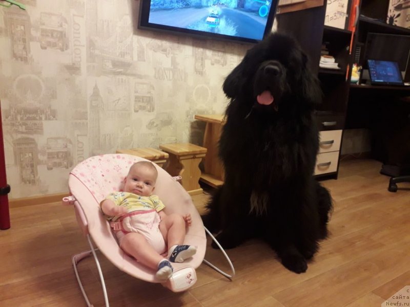 Фотография № 240028