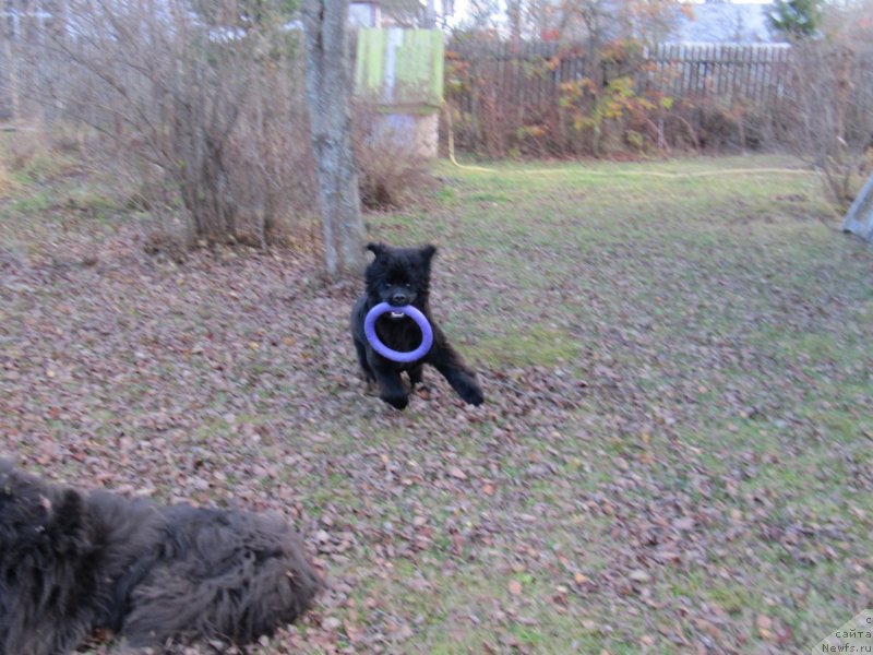 Фотография № 240049