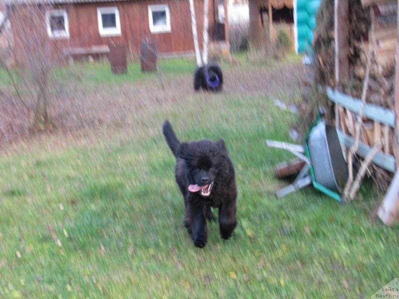 Фотография № 240050