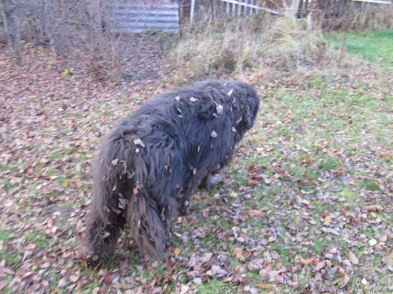 Фотография № 240073