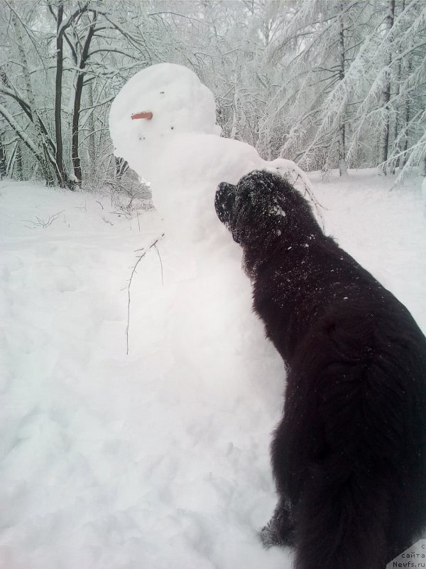 Фотография № 240094