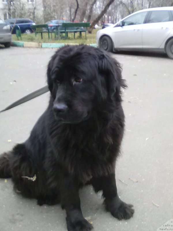 Фотография № 240099