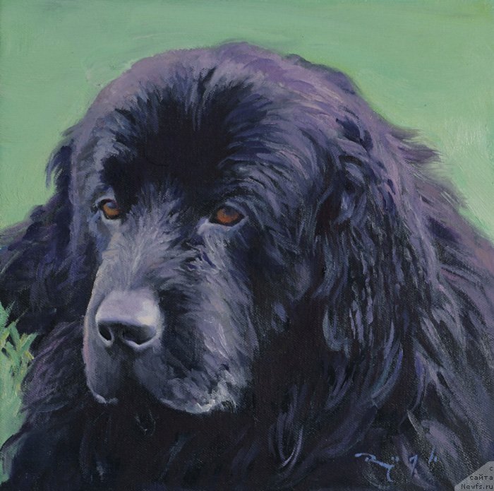 Фотография № 240109