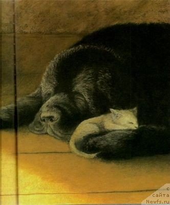 Фотография № 240117