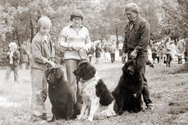Фото: ньюфаундленд Гер Ассоль, ньюфаундленд Гер Ама