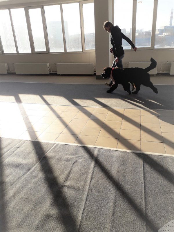 Фотография № 240122