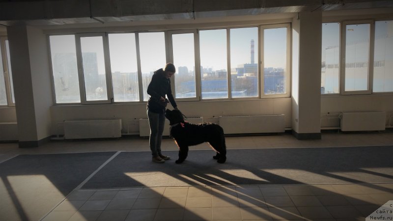 Фотография № 240123