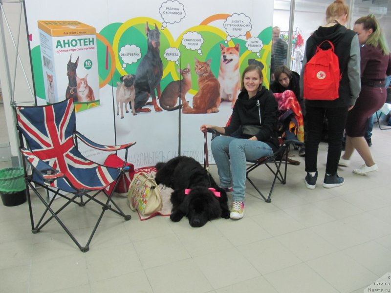 Фотография № 240124