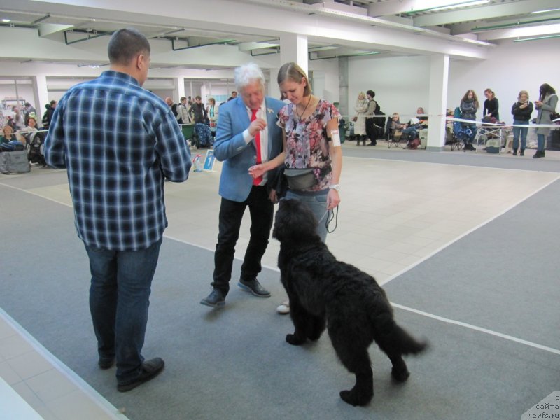 Фотография № 240127