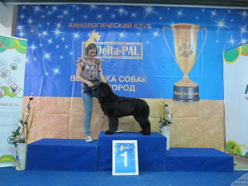 Фотография № 240129