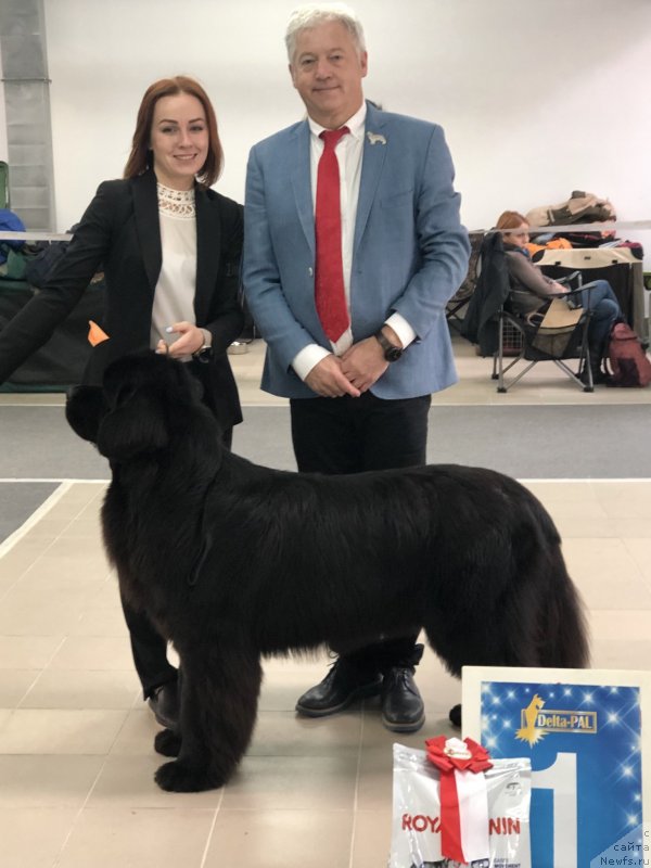 Фотография № 240132