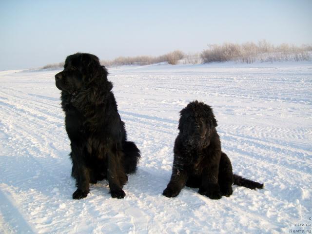 Фото: [d7894]  Глория  и Фортуна