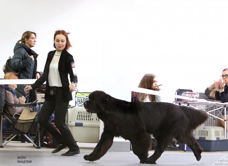 Фотография № 240157