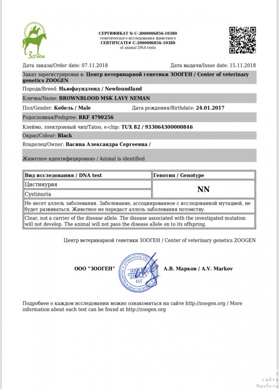 Фото: ньюфаундленд Браунблад MCК Лави Нэман (Brownblood MSK Lavy Neman)