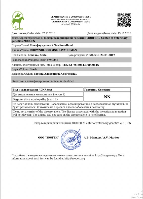 Фото: ньюфаундленд Браунблад MCК Лави Нэман (Brownblood MSK Lavy Neman)