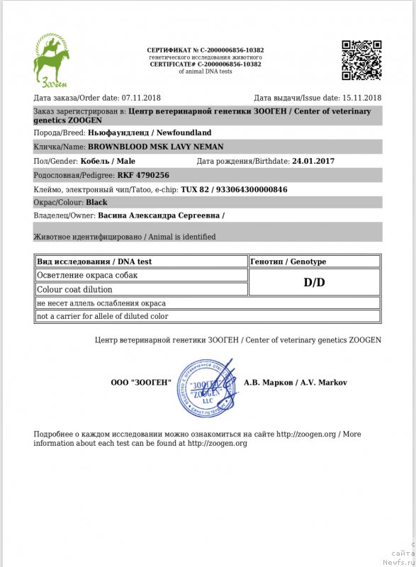 Фото: ньюфаундленд Браунблад MCК Лави Нэман (Brownblood MSK Lavy Neman)