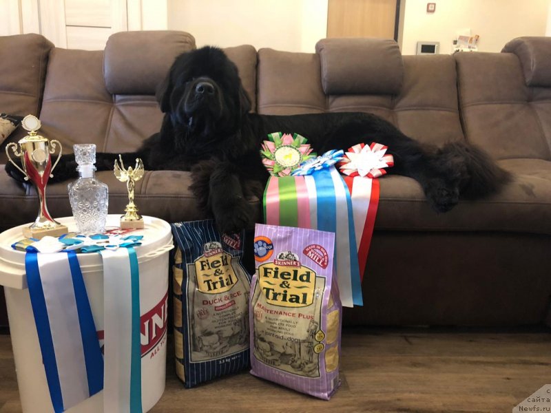 Фотография № 240177