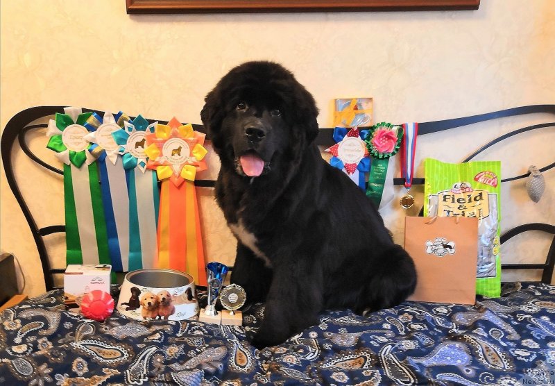 Фотография № 240185