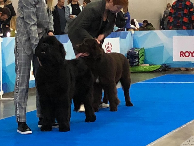 Фотография № 240189