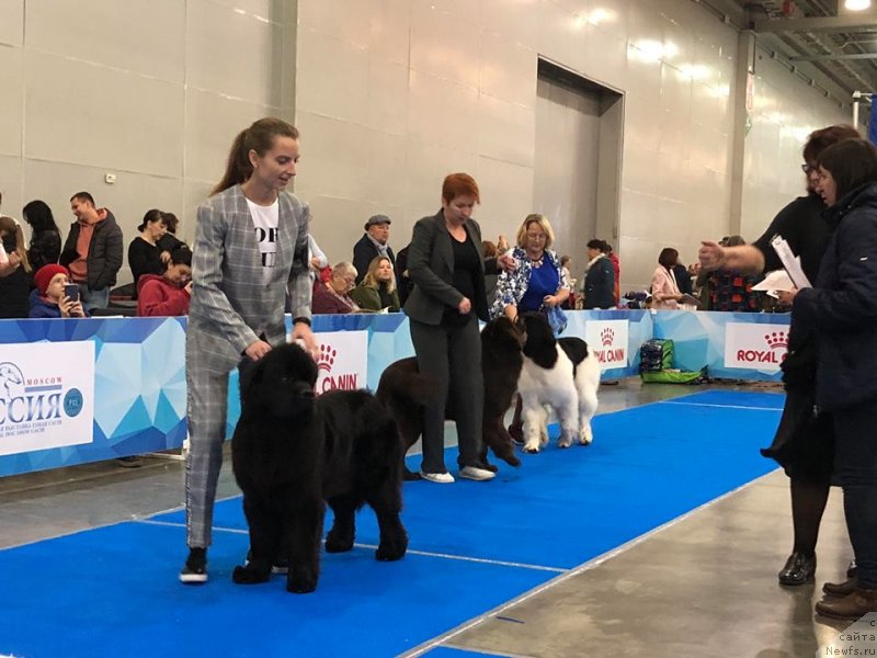 Фотография № 240190