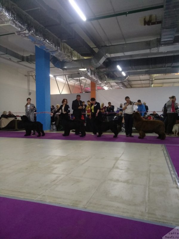 Фотография № 240193